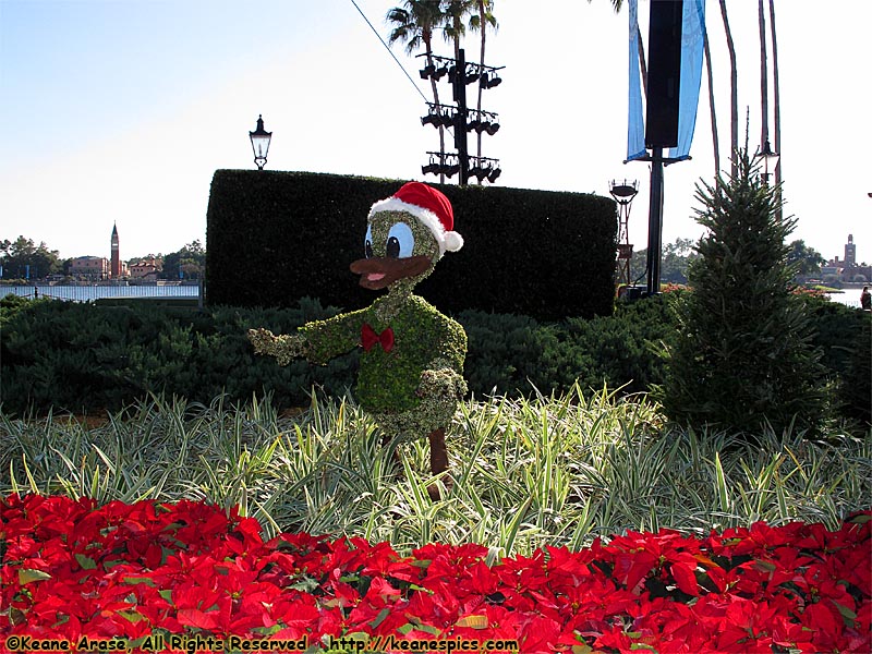 Donald Topiary