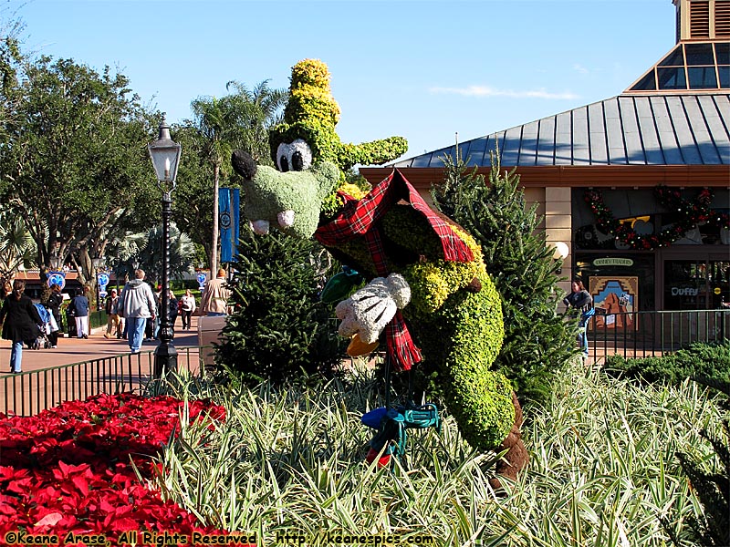 Goofy Topiary