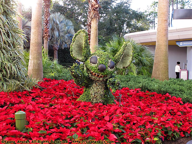 Stitch Topiary