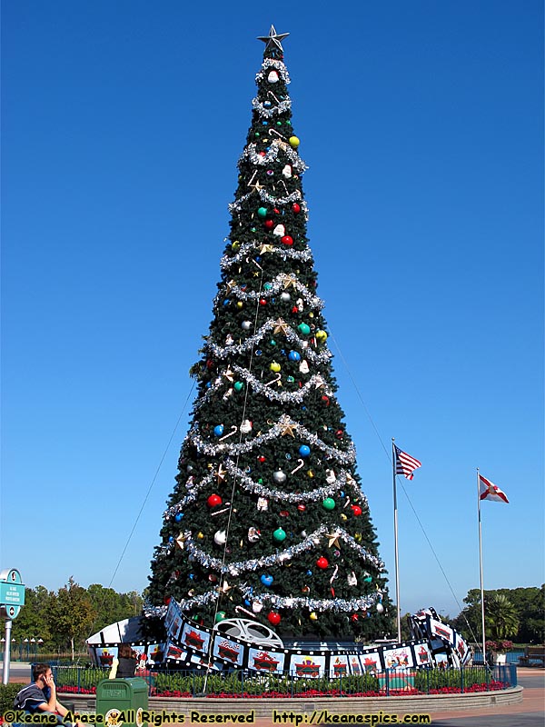 DHS's Tree