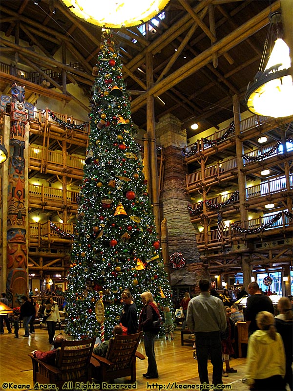 Christmas at Wilderness Lodge