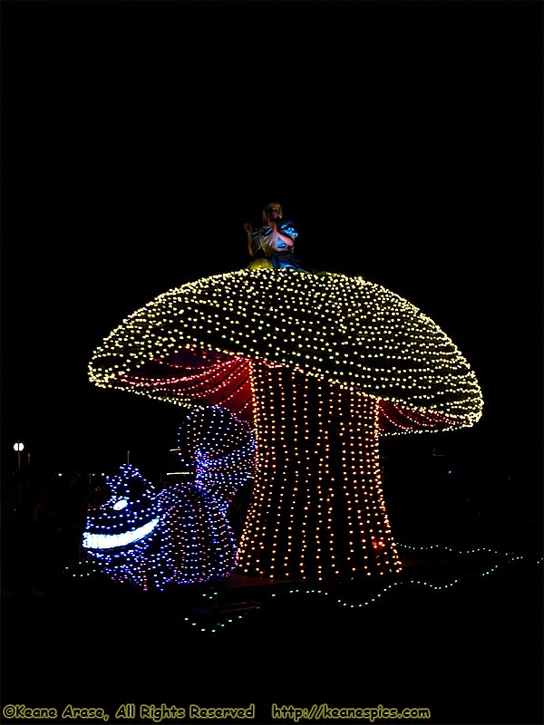 The Main Street Electrical Parade (May 2011)