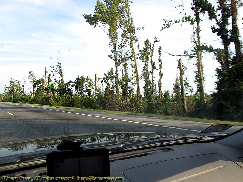 Damage from Late April Tornadoes