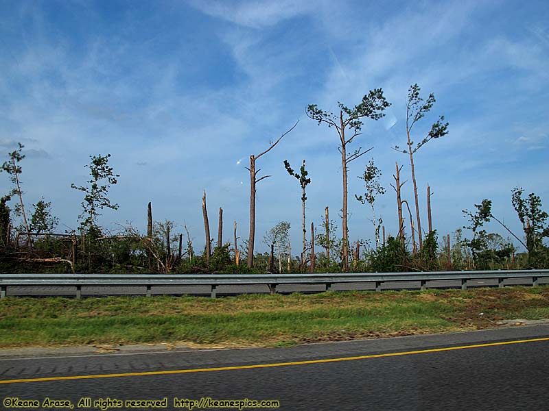 Damage from Late April Tornadoes