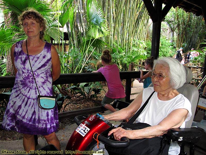 Kilimanjaro Safari