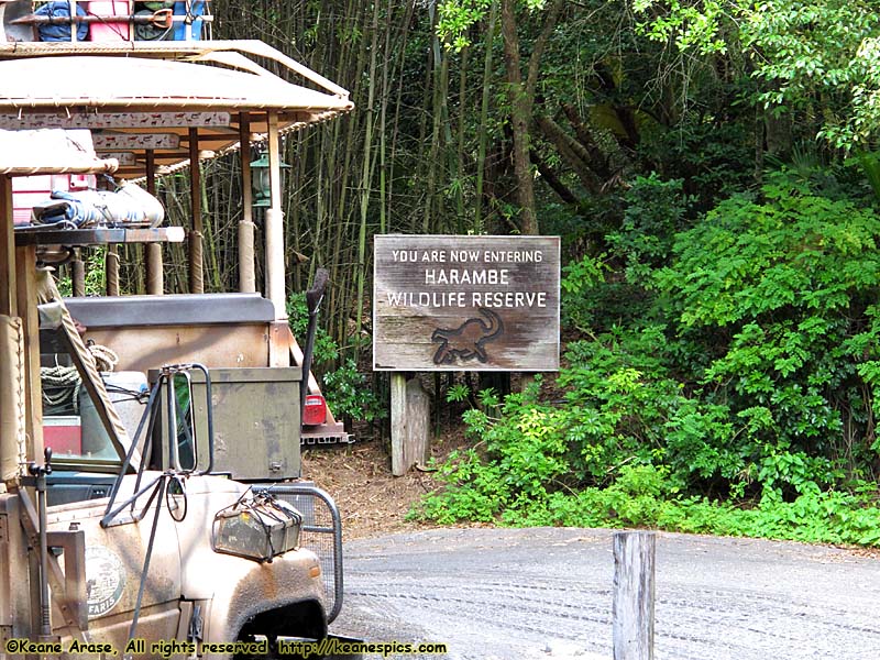 Kilimanjaro Safari