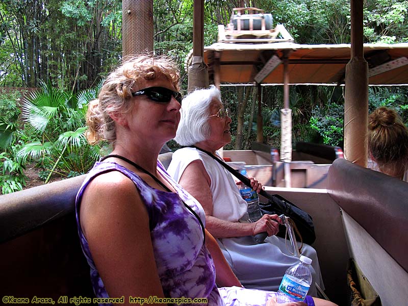 Kilimanjaro Safari