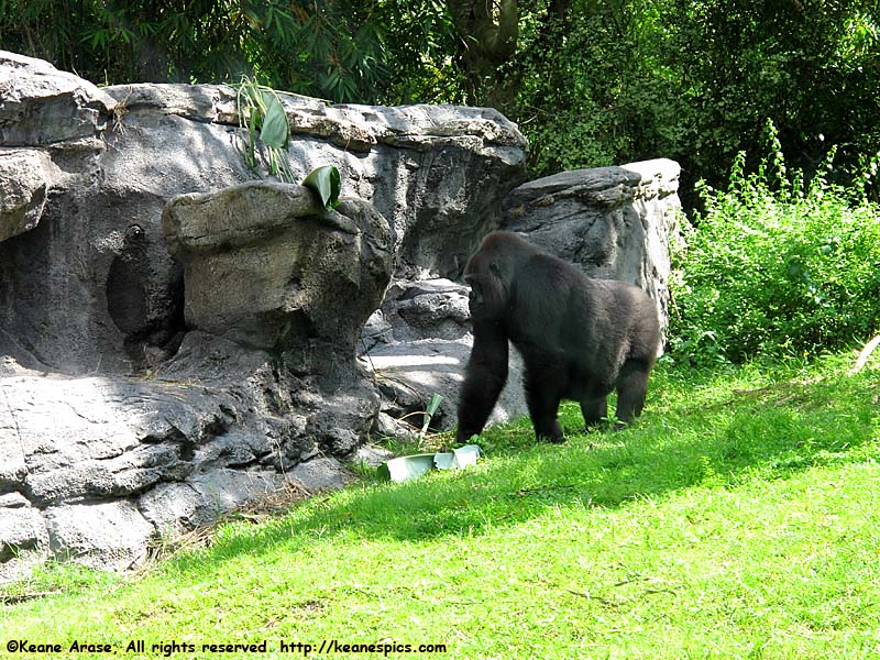 Pangani Forest Exploration Trails