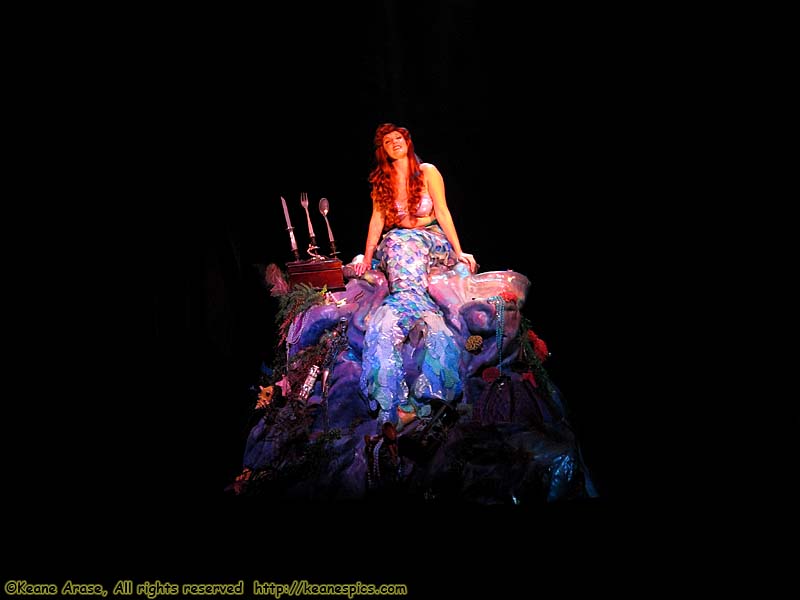 Voyage of the Little Mermaid