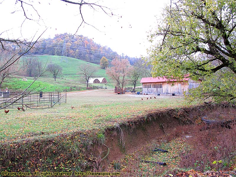 A walk around the farm.  Make sure you bring a change of shoes.