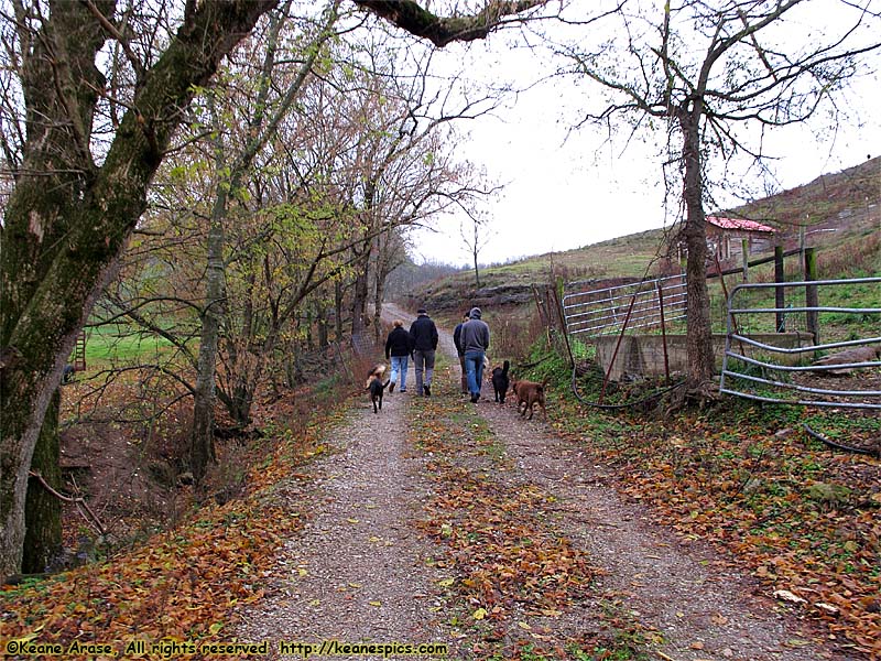 A walk around the farm.  Make sure you bring a change of shoes.