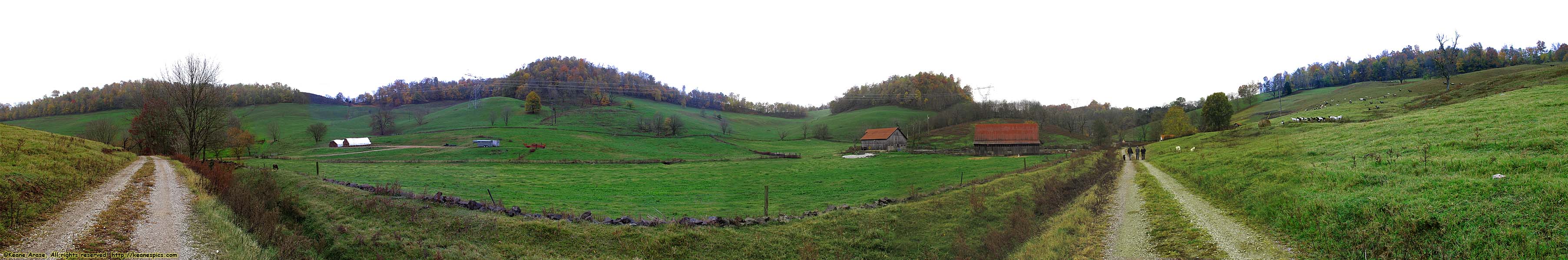 A walk around the farm.  Make sure you bring a change of shoes.