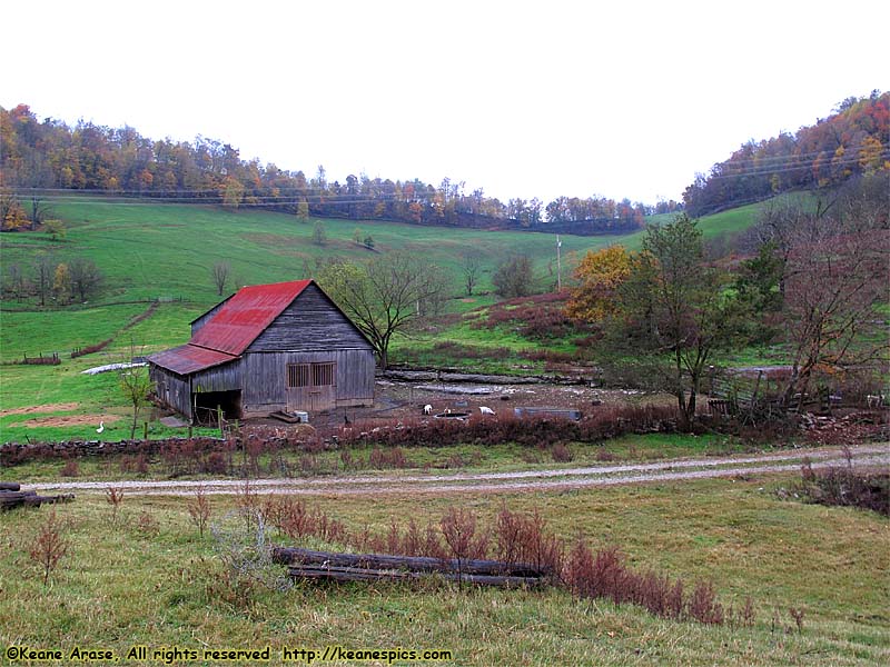 A walk around the farm.  Make sure you bring a change of shoes.