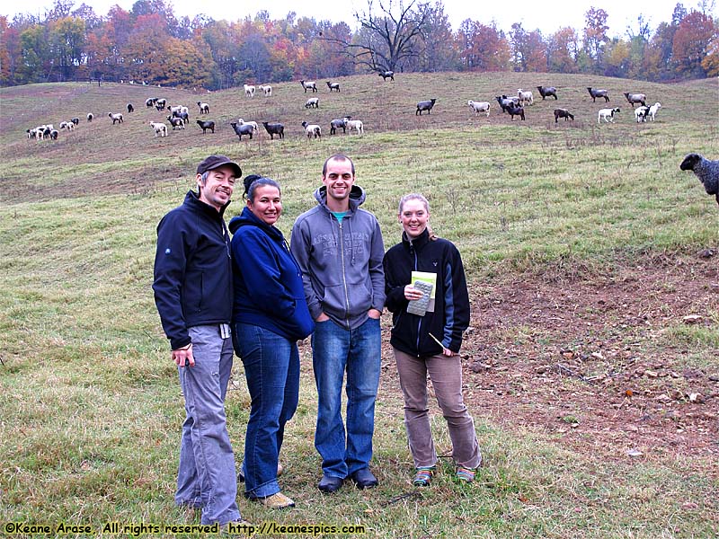 A walk around the farm.  Make sure you bring a change of shoes.