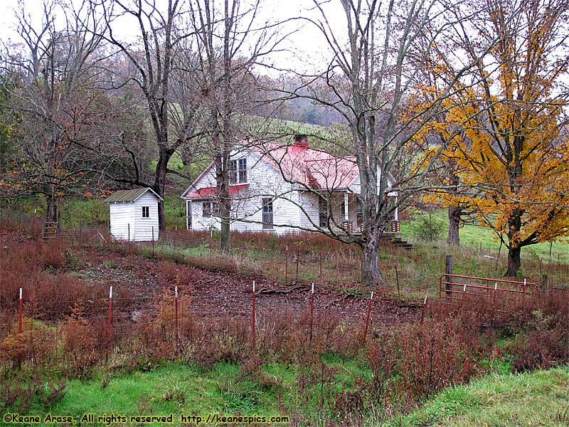 A walk around the farm.  Make sure you bring a change of shoes.