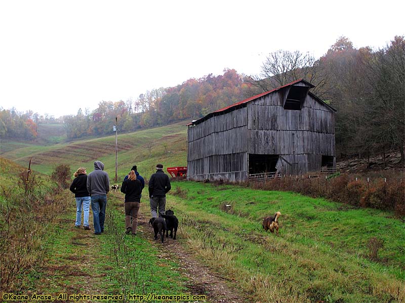 A walk around the farm.  Make sure you bring a change of shoes.