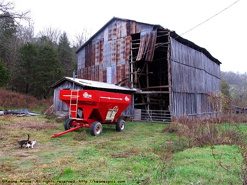 Old tobacco barn