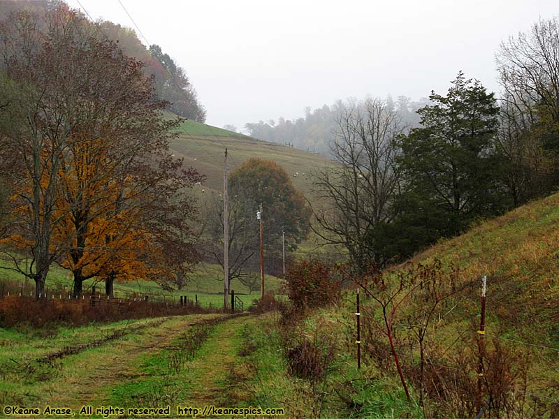 A walk around the farm.  Make sure you bring a change of shoes.