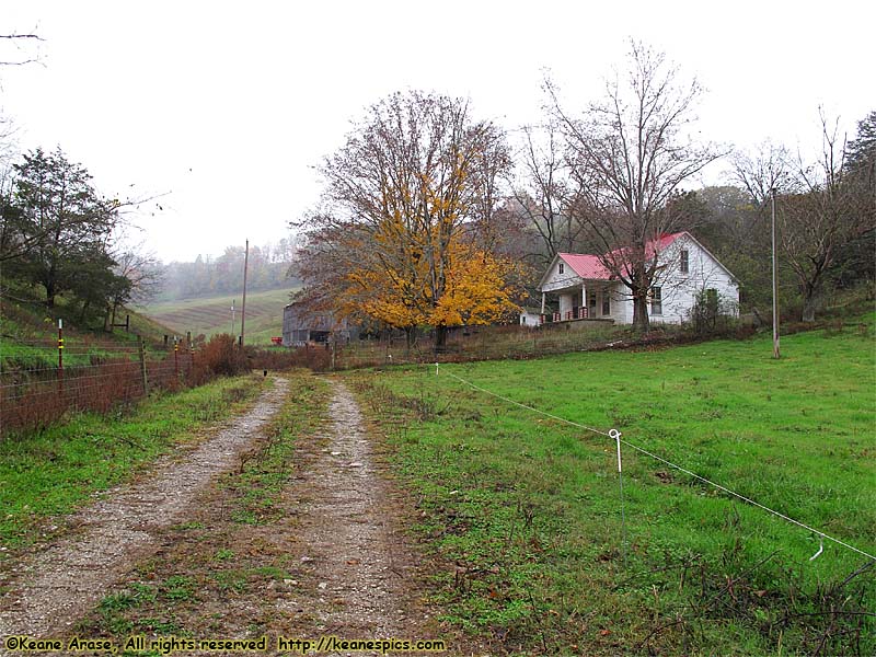 A walk around the farm.  Make sure you bring a change of shoes.