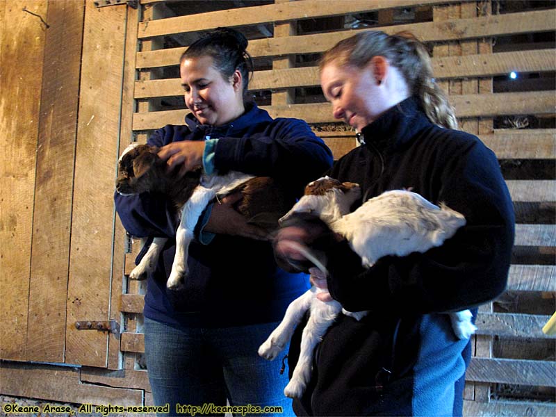 A walk around the farm.  Make sure you bring a change of shoes.