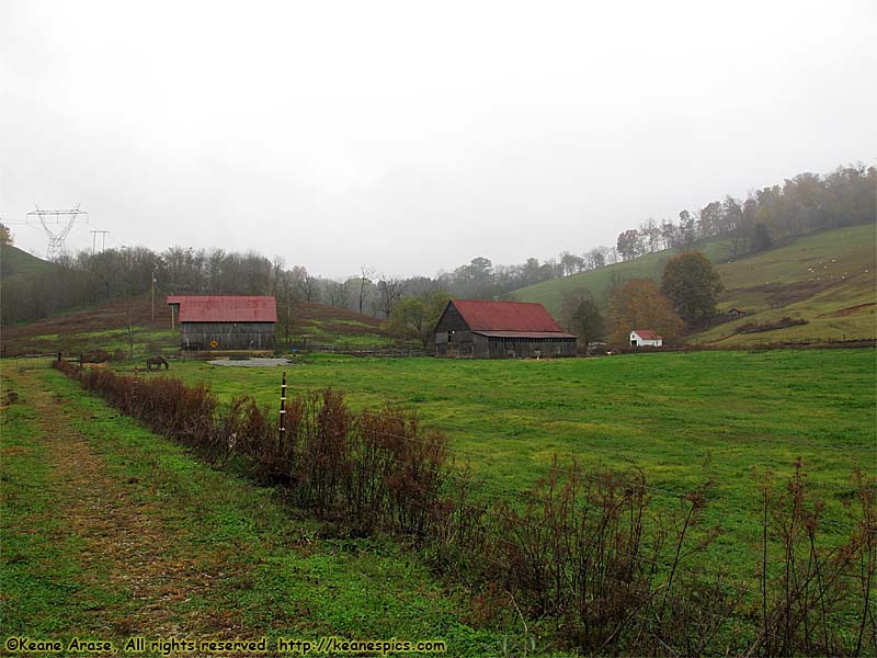 A walk around the farm.  Make sure you bring a change of shoes.