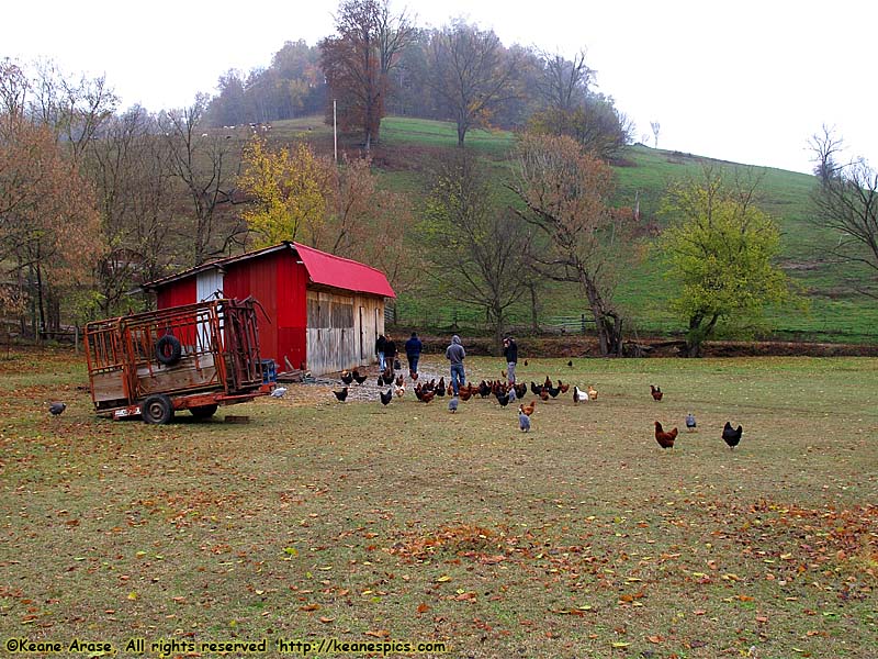 A walk around the farm.  Make sure you bring a change of shoes.