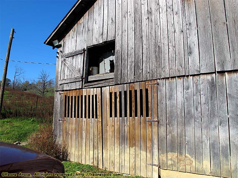 Then, there are the barn cats that don't like humans…