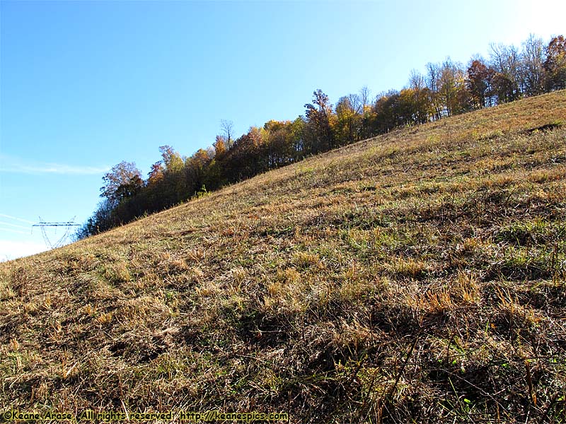 The steepest hill on property