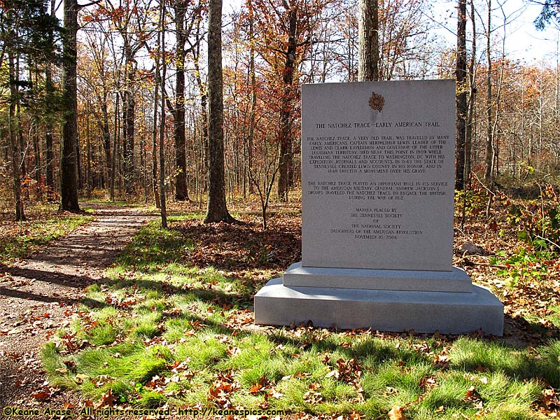 Meriweather Lewis burial site