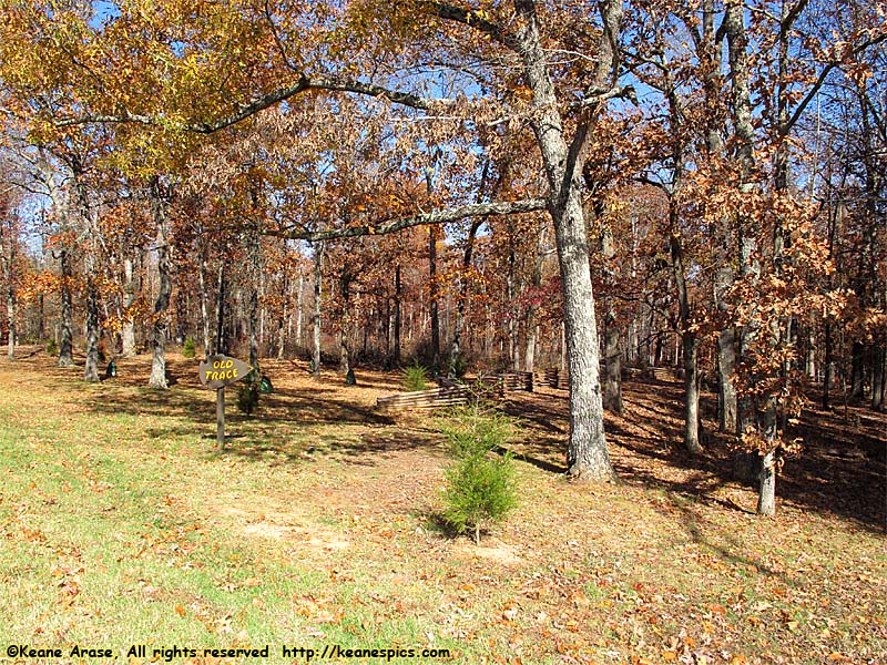 Meriweather Lewis burial site