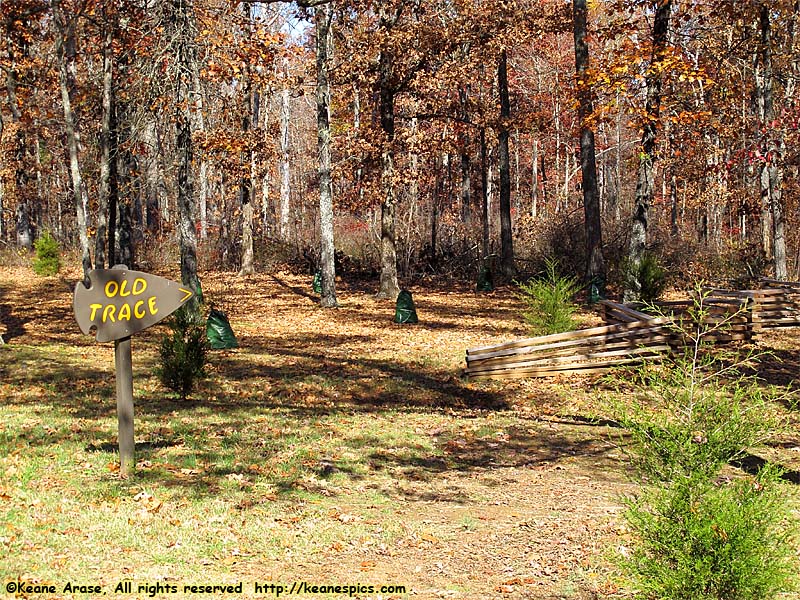 Meriweather Lewis burial site