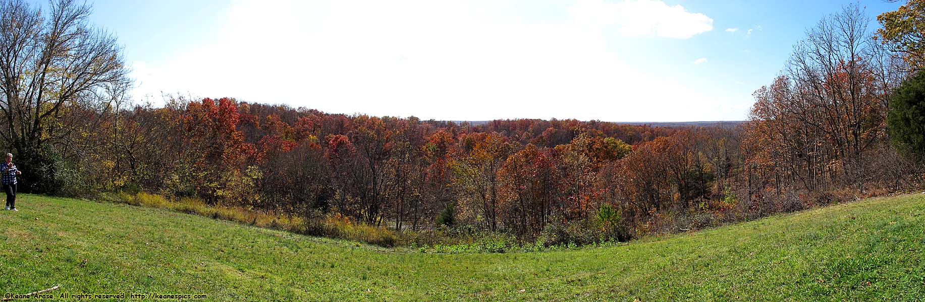 Swan View Overlook