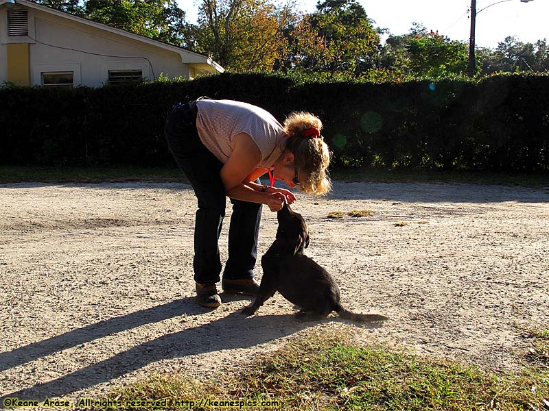 Jenny and the puppy...