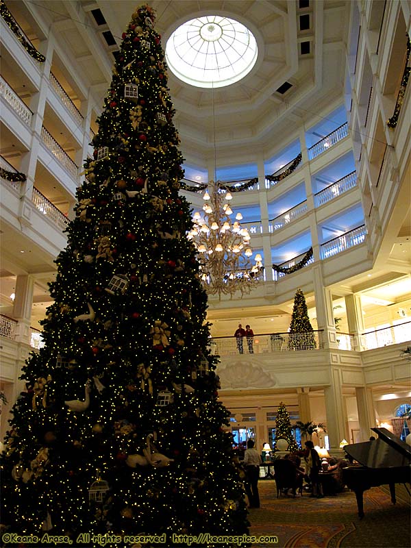 Lobby/Atrium