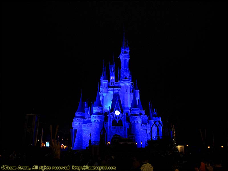 Cinderella's Castle at night