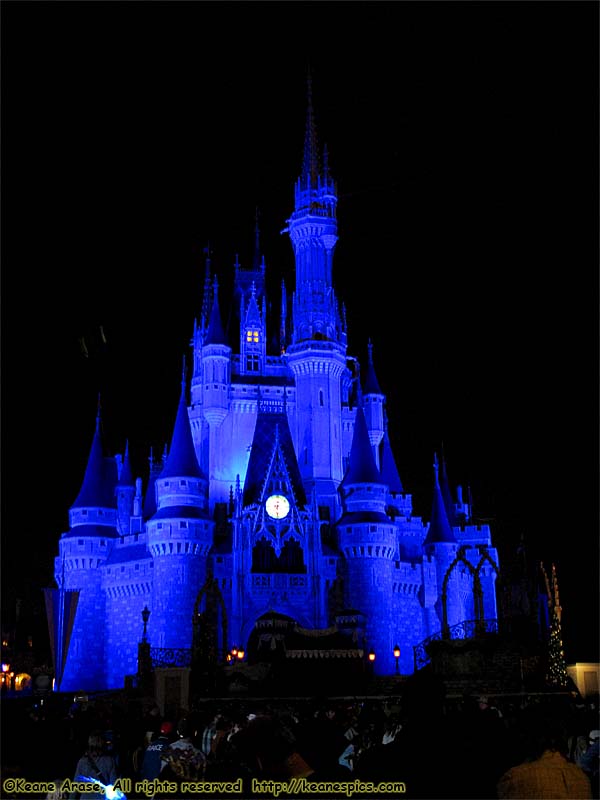 Cinderella's Castle at night