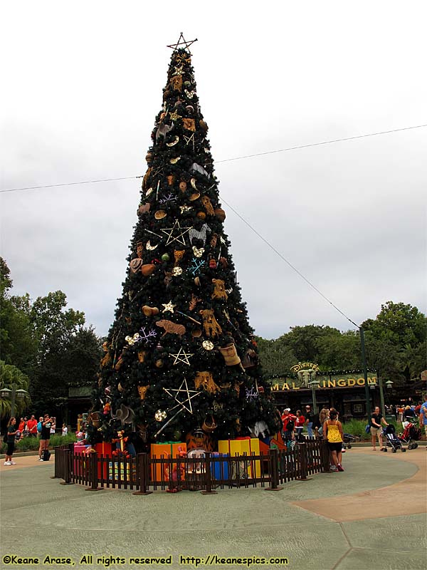 Animal Kingdom's Christmas tree