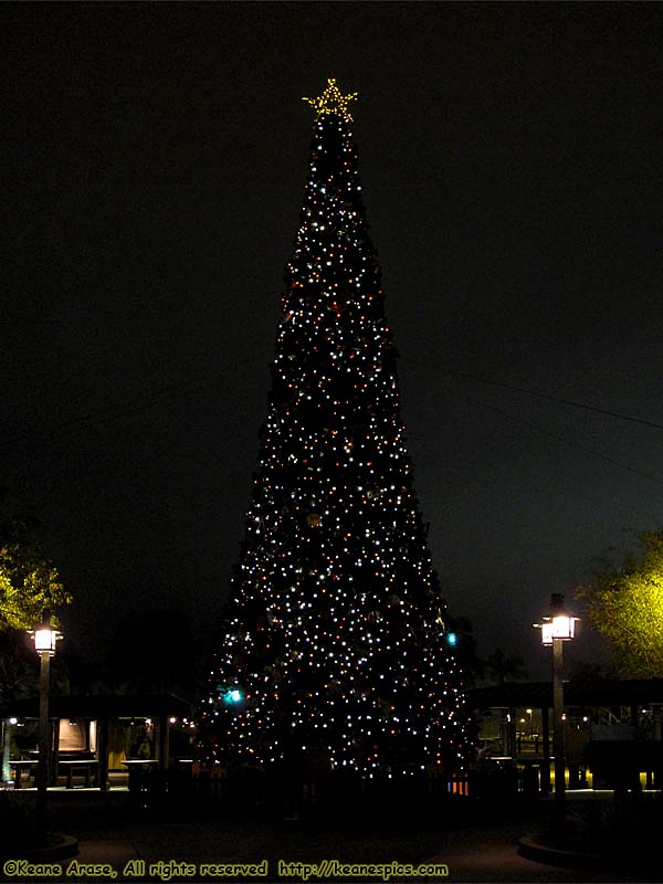 Animal Kingdom's Christmas tree