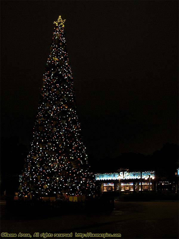 Animal Kingdom's Christmas tree