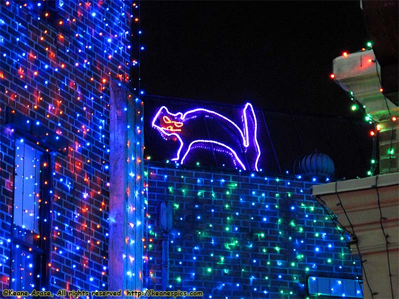 Christmas at DHS / Streets of America