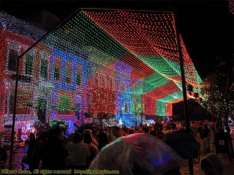 Christmas at DHS / Streets of America