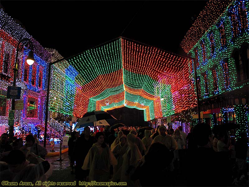 Christmas at DHS / Streets of America