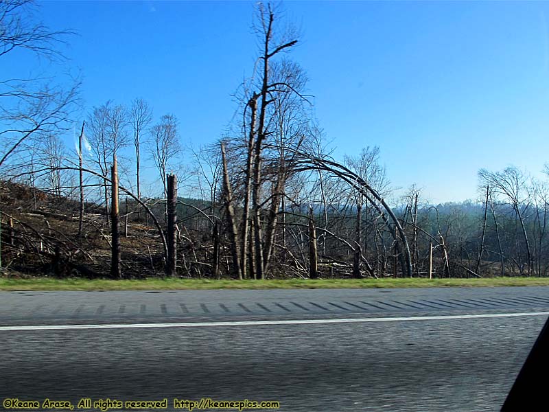 Tornado damage on I-75