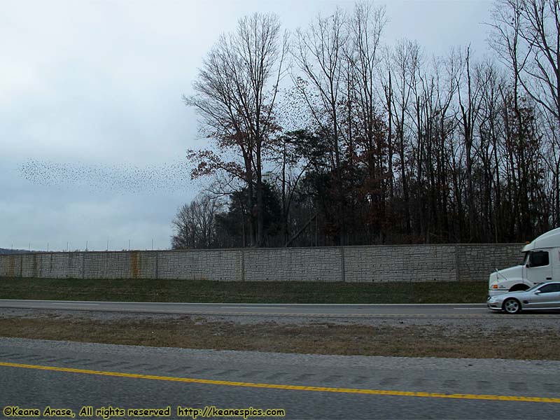 On I-24, West of Chattanooga