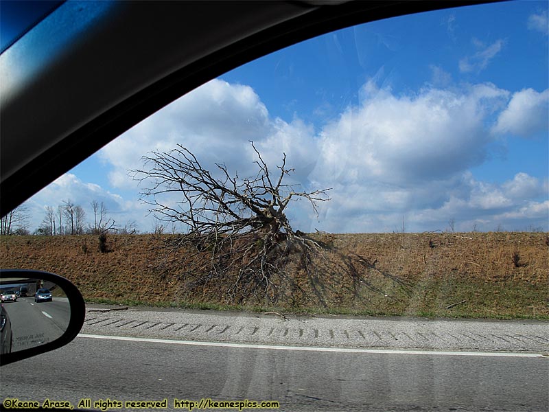 Tornado damage, 1 day old