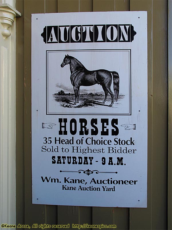 Horse Auction!