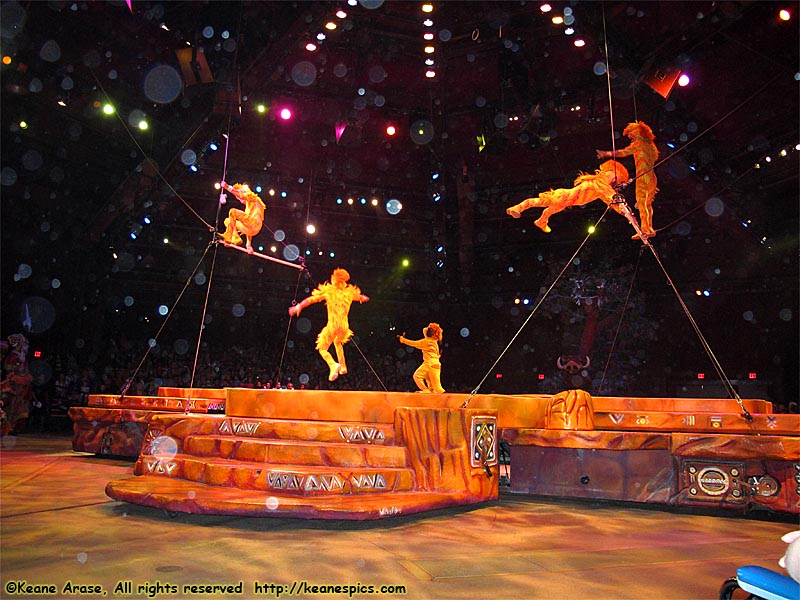 Festival of the Lion King