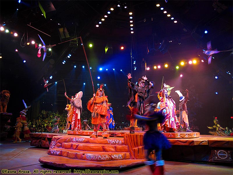 Festival of the Lion King