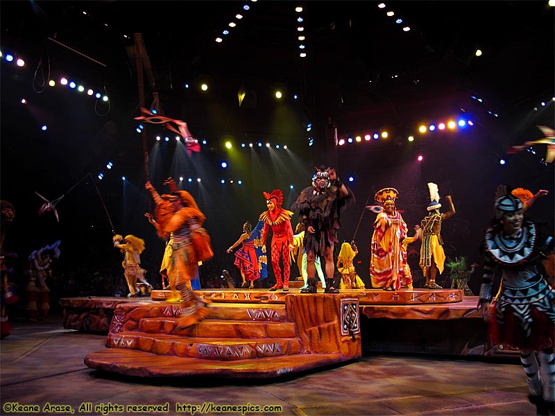 Festival of the Lion King