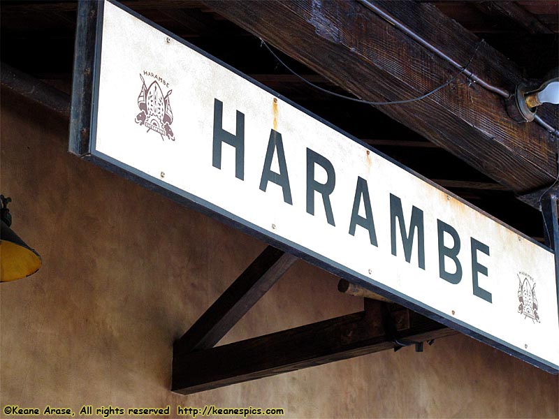 Harambe Station